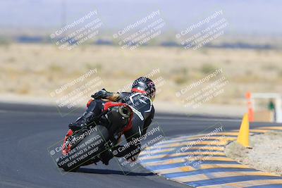 media/May-13-2023-SoCal Trackdays (Sat) [[8a473a8fd1]]/Turn 11 Backside (945am)/